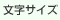 文字サイズ